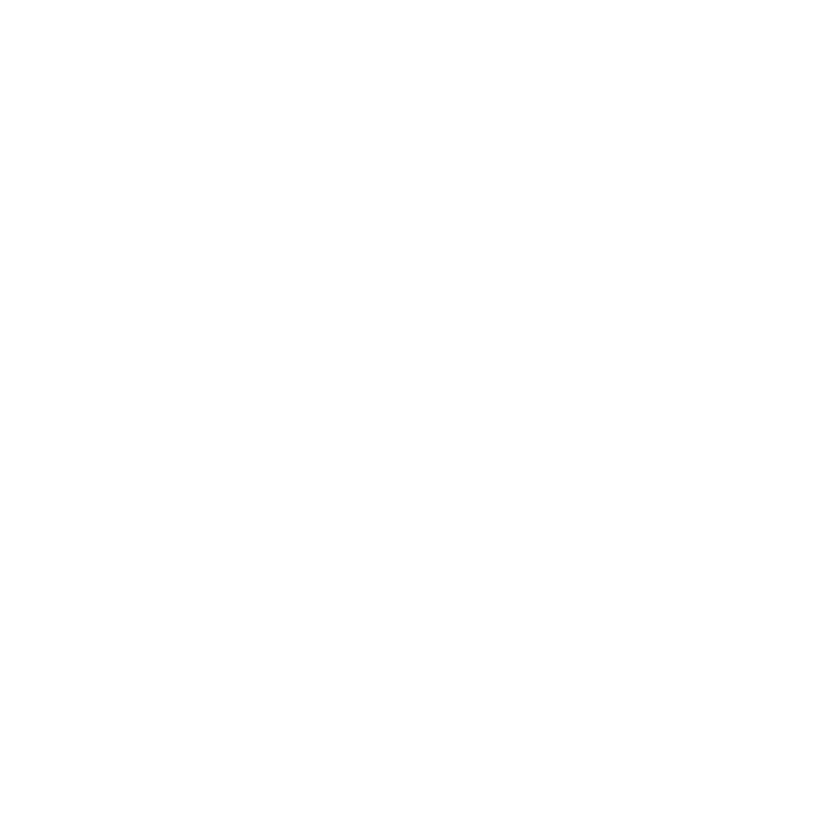 Bible Icon