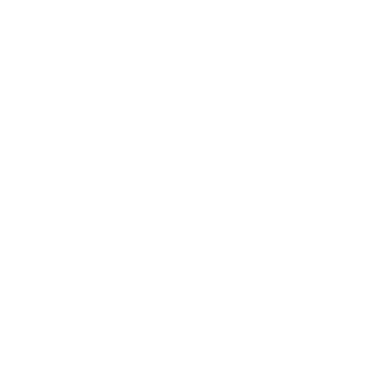 PDF Icon