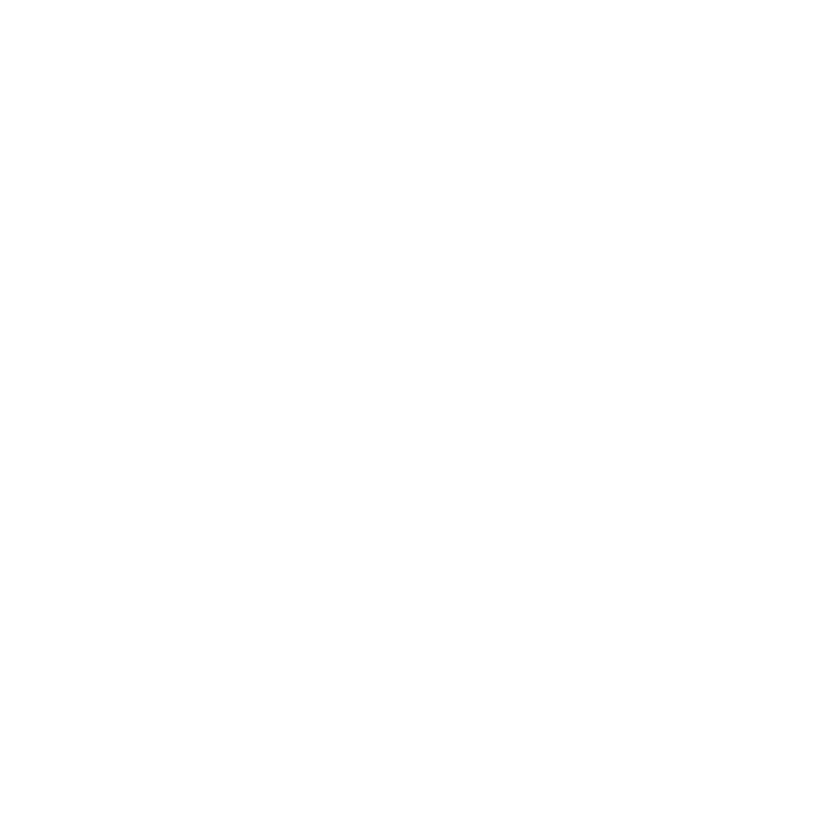 PDF Icon
